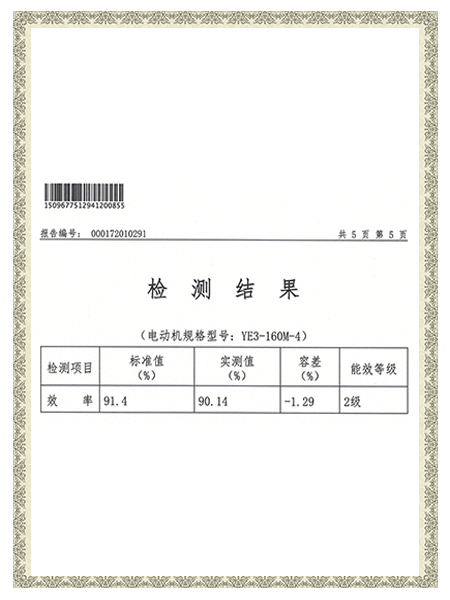 YE3-160M-4報(bào)告-檢測(cè)結(jié)果
