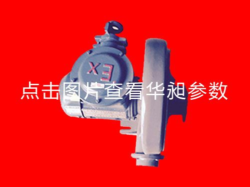 防爆風(fēng)機(jī)HD-100L 1.5KW 220-380V